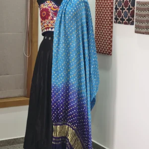 Navratri special traditional wear Chaniya Choli